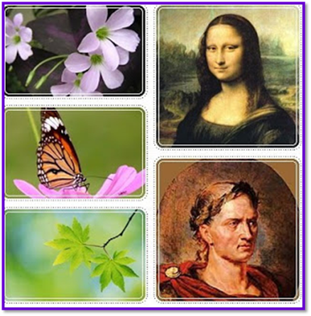 คำอธิบาย: http://4.bp.blogspot.com/_HwcBxMCG92U/TIstgUQtX5I/AAAAAAAAABQ/adXMGOv-pzc/s320/Clip_19.jpg