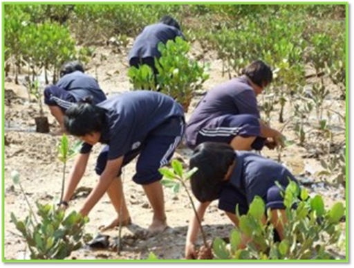 คำอธิบาย: http://www.netbookco.com/wp-content/uploads/2012/04/%E0%B8%9B%E0%B8%A5%E0%B8%B9%E0%B8%81%E0%B8%95%E0%B9%89%E0%B8%99%E0%B9%84%E0%B8%A1%E0%B9%89-300x224.jpg