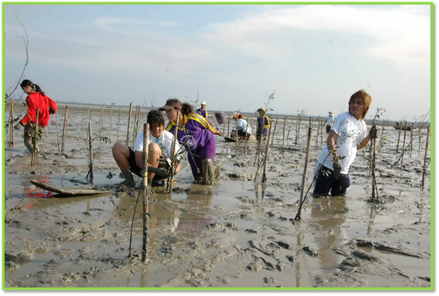 คำอธิบาย: http://chm-thai.onep.go.th/chm/Business/images/bayer/61_DSC_0318.jpg
