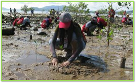 คำอธิบาย: http://vavaland.files.wordpress.com/2012/07/630.jpg?w=300&h=180