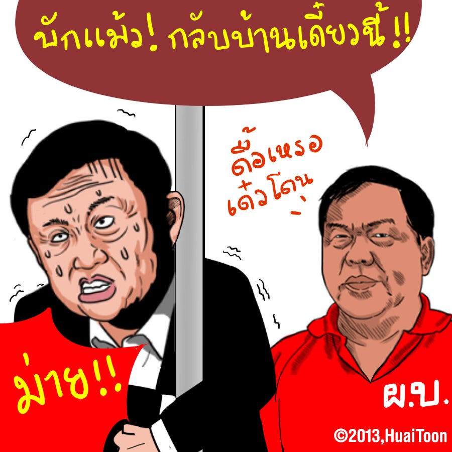 My Image 39
