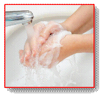 shutterstock_52579888_1.jpg