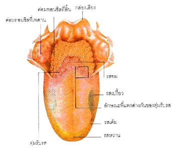 p113