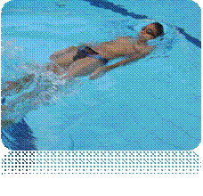 DSC00064