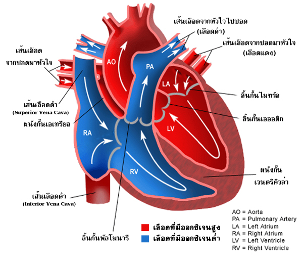 My Image 5