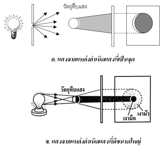 My Image 12