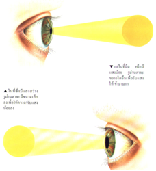 คำอธิบาย: http://physicsworld.nanacity.com/physicsworld/lesson/pic/see1.4.png