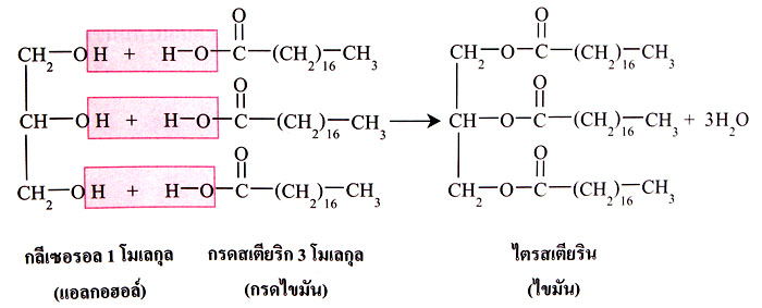 ไตรกลีเซอไรด์คือ